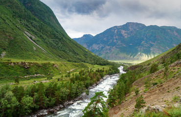 Valley of Chulcha river. Altai Republic. Russia