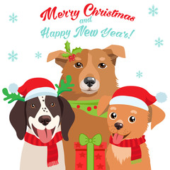 Cartoon Dog With Santa Hat And Christmas Text Vector Card For Your Christmas Greeting Cards, Invitations, Web Graphics And Holidays Print. Funny Doggy Characters.