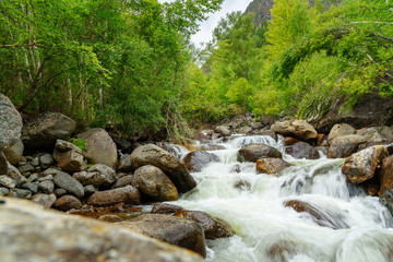 River in mountain. Altai Republic. Russia