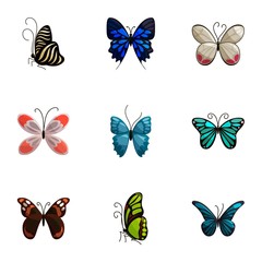 Tropical butterfly icons set, cartoon style