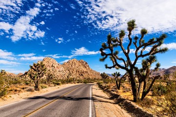 Straße im Joshua Tree National Park Kalifornien