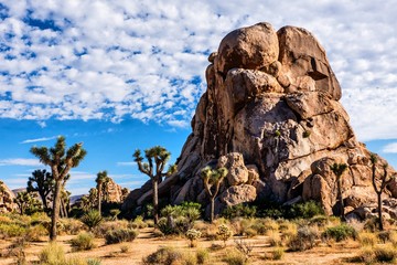 Joshua Tree National Park Kalifornien