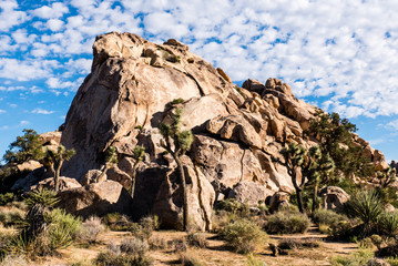 Joshua Tree National Park Kalifornien