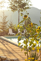 blue pool on the background of nature