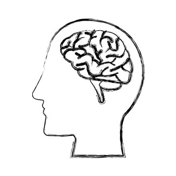 Human head with brain