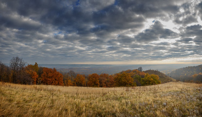 Fototapeta premium Autumn landscape. View of the forest with yellow foliage against the background of a cloudy sky.