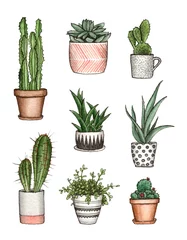 Fototapete Kaktus im Topf Aquarell Hauspflanzen. Handmalerei isolierte Elemente.