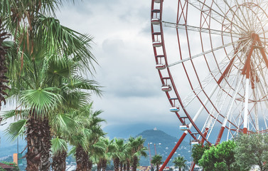 Fototapeta premium The attraction of a Ferris wheel at Batumi Seaside Park on the Black Sea. Adjara, Georgia