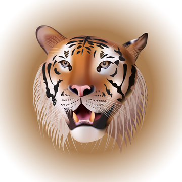 Vector Portrait of a Tiger.