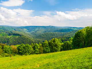 Beautiful summer mountain landscape with lush green meadows and forest and blue sky with white clouds.