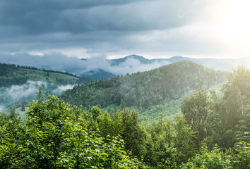 View on evergreen misty forest and top of mountains in fog. Scenery with dramatic rainy clouds.