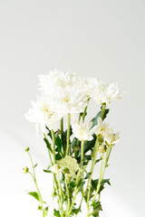 Bouquet carnation flower on white background.
