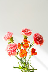 Bouquet carnation flower on white background.