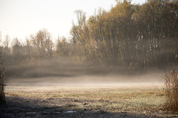 Mist in the autumn sunrise