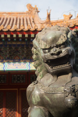 Chinese Dog or lion in front of a temple