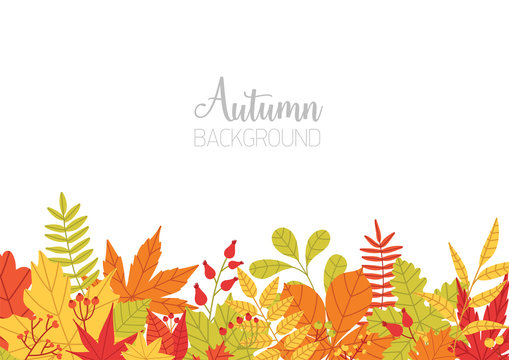 Horizontal banner with various colorful autumn tree leaves at bottom edge and place for text on white background
