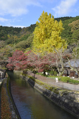 秋の琵琶湖疏水