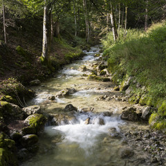 Bachlauf, Bayrischzell, Oberbayern, Bayern, Deutschland, Europa