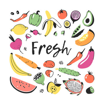 Hand drawn set of vegetables and fruits. Vector artistic drawing food. Vegan illustration pumpkin, potato, pepper, beetroot, eggplant, tomato, cucumber, avocado, carrot, lemon, banana, watermelon