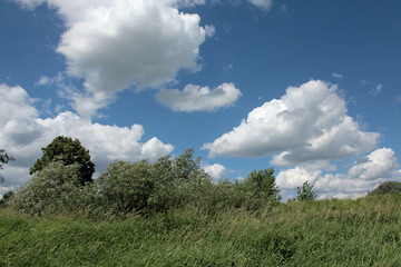 sommerwiese mit wei&szlig;en wolken.6
