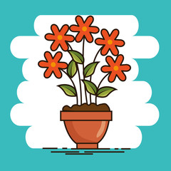 cute beautiful house plants cartoons