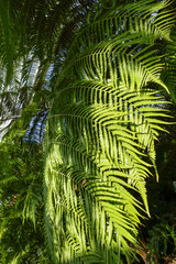 Botanical Garden Munich