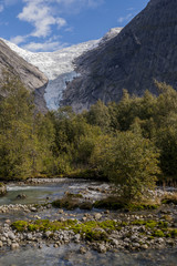 A typical mountain valley located at the edge of the glacier tongue overgrowing with birch trees