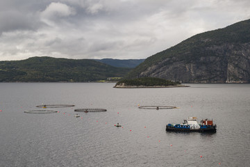 Fototapeta na wymiar A salmon and mussels aquaculture located in a fjord