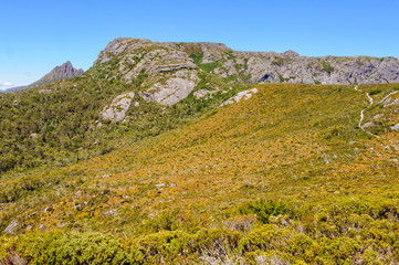 Obraz premium Wombat Peak in the Cradle Mountain-Lake St Clair National Park - Tasmania, Australia