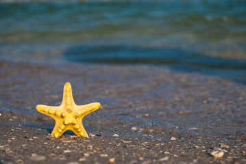 beautiful bright yellow starfish sea inhabitant on yellow sand on a background of blue sea and a white wave blue sky summer vacation summer day heat beach