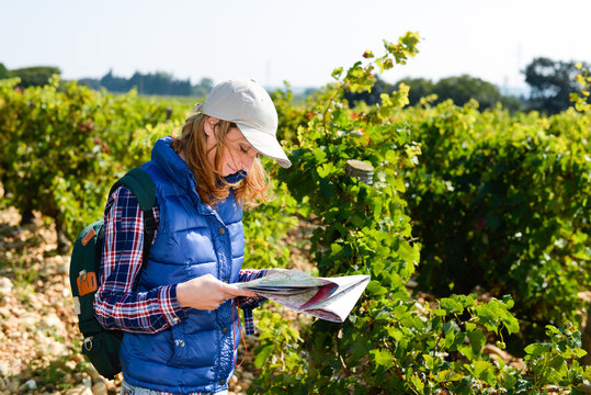 cheerful young woman hiking in the countryside searching her way and looking at a map- Cepage Grenache, Chateauneuf du Pape, cotes du Rhone, France