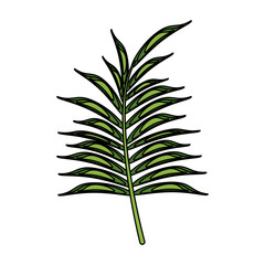 Leaf eco symbol