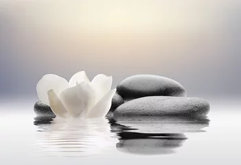 Foto auf Acrylglas Zen Spa mit Blumenwasser und Steinen