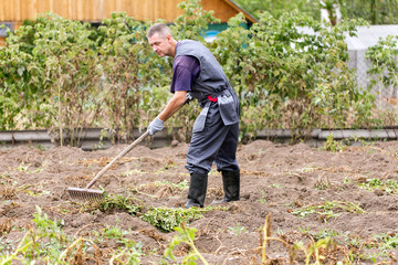 The farmer rails the garden with rakes in the country