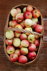 Naklejka na ściany i meble Bright ripe apples in a basket