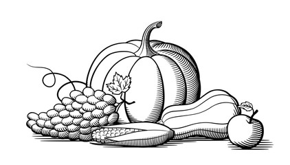 Composition of fresh ripe fruits and vegetables. Pumpkin, grapes, corn and butternut squash. Black and white vector illustration - obrazy, fototapety, plakaty