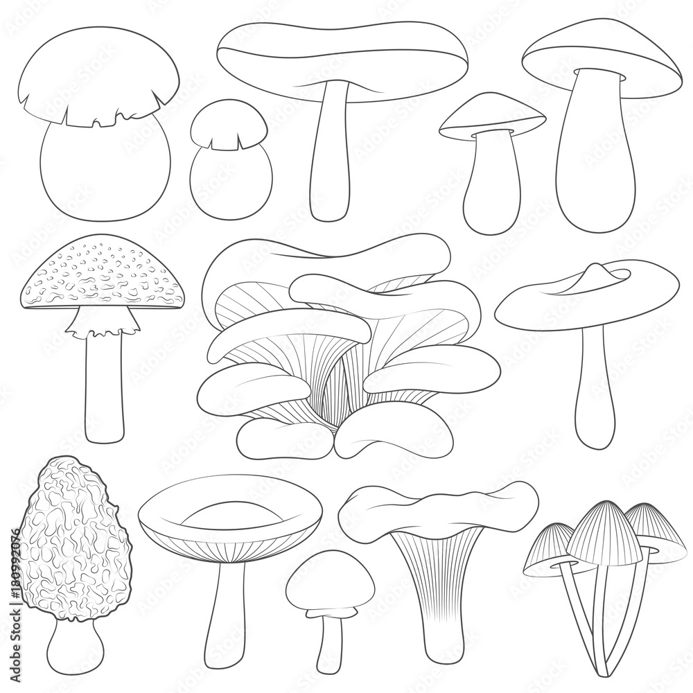 Poster set of black and white images with mushrooms. isolated vector objects on white background.