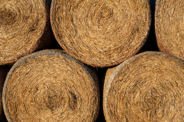 Strohballen unter blauem Himmel