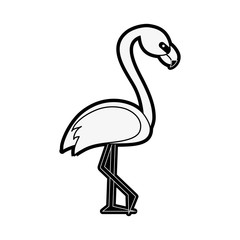 Beautiful flemish bird