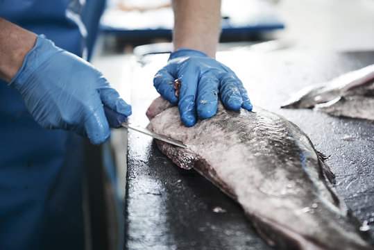 fresh fish in a fishshop