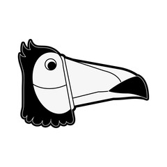 Tucan bird cartoon