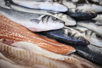 fresh fish in a fishshop