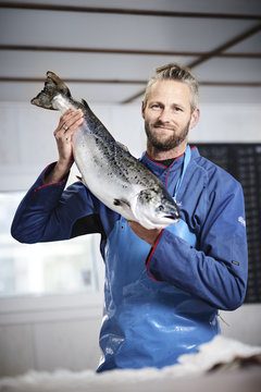 fresh fish in a fishshop