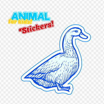 Farm animal duck in sketch style on colorful sticker. Isolated on transparent background. Can be used for cute coloring book for children. Include silhouette for paper cutting