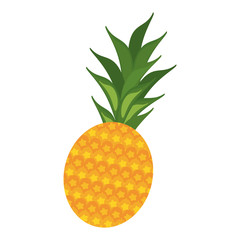 Pineapple sweet fruit