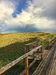 Weg zum Strand durch die Dühnen