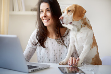 Woman sitting in home office and using laptop while her dog watching