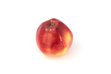 a large red ripe apple on white. Studio.