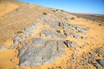  old fossil in  the   sahara and rock  stone sky