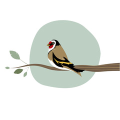 Cute goldfinch on a branch isolated on white background. Vector Illustration
